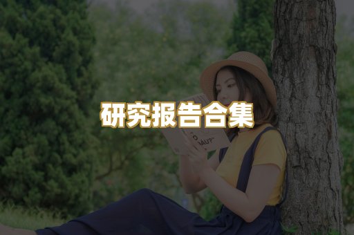 研究报告合集